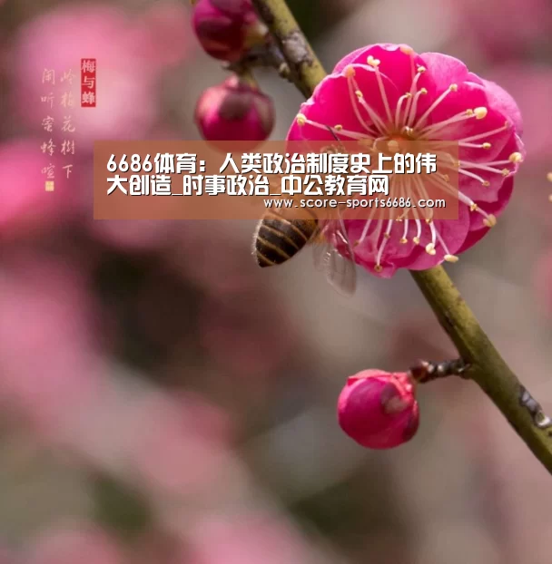 6686体育
