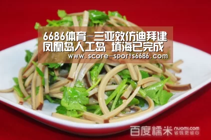 6686体育-三亚效仿迪拜建凤凰岛人工岛 填海已完成年底全部完工(图1) 6686体育
