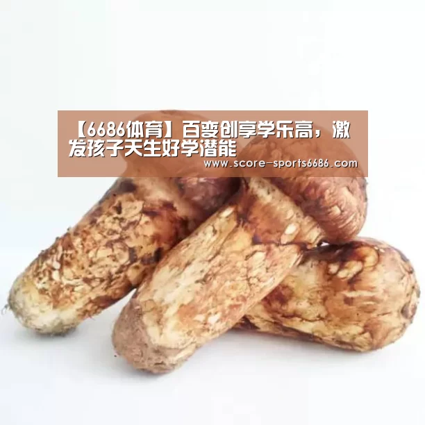 6686体育